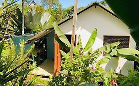 Casita Tangara Con Balcon Y Agua Caliente